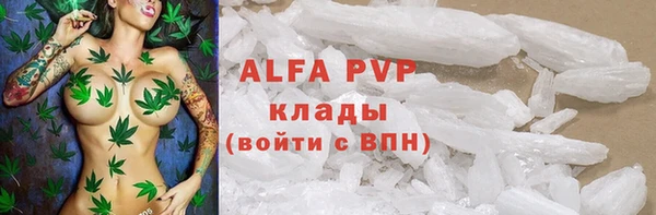 apvp Белокуриха